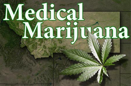 grams of weed. a Gram of Marijuana can